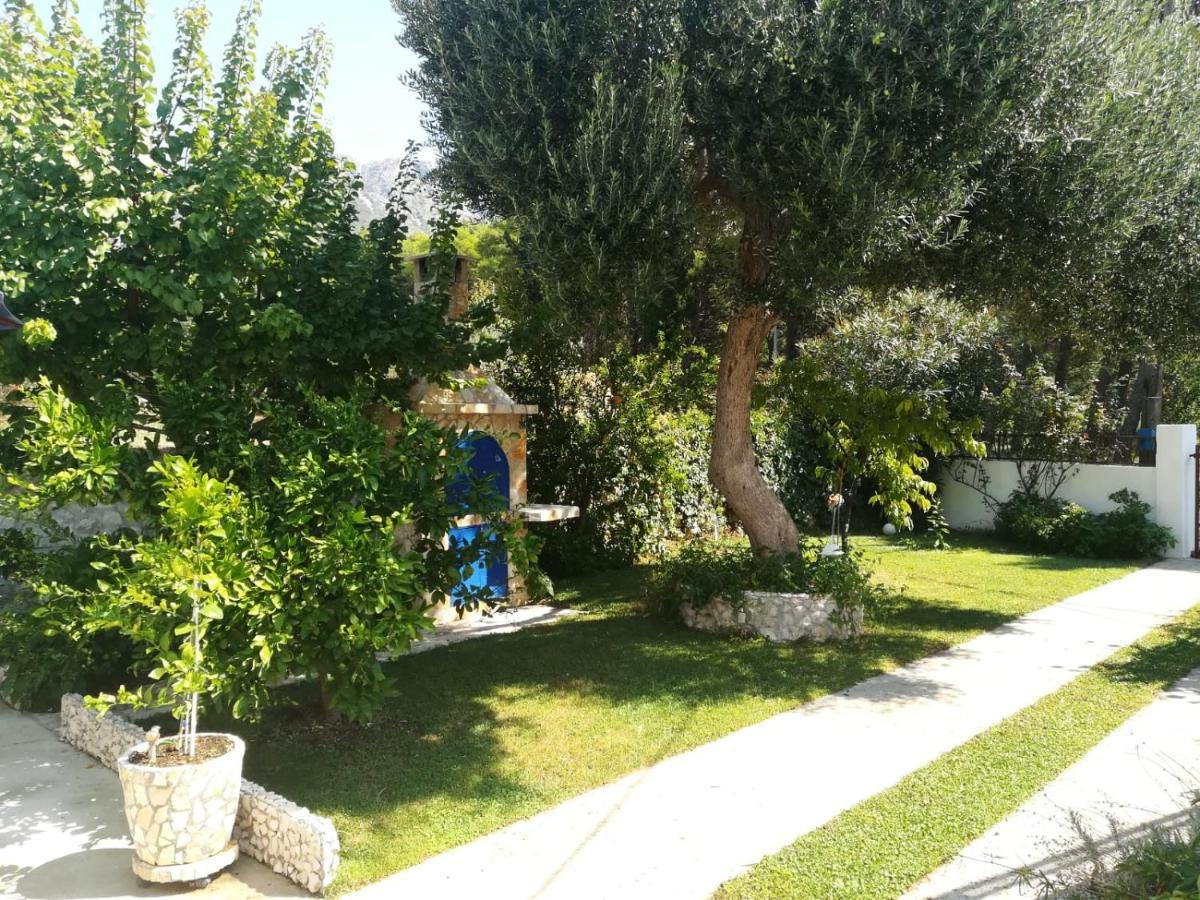 Apartment Soldo Zaostrog Εξωτερικό φωτογραφία